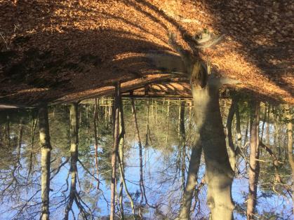 Intussen zijn we terechtgekomen in een deel van het park met enkele markante heuvels. Ze ogen natuurlijk maar zijn waarschijnlijk grotendeels opgeworpen.