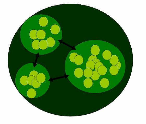 Deze publicatie is in opdracht van het ministerie van EZ Figuur 11: Schematische voorstelling van een aantasting van een deel van de netwerkpopulatie door een ingreep (rood gearceerd).