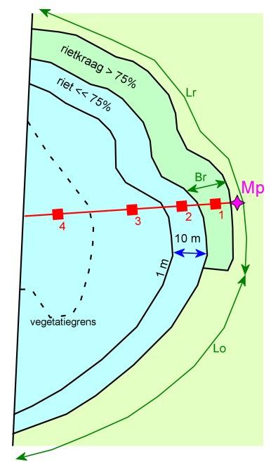 3.4. Middelgrote tot grote meren Monitoring: meerdere meetpunten met elk een transect van opnamen dwars op de oever Watertypen: M14, M20, M23, M27 Meetpunten Het waterlichaam wordt opgedeeld in