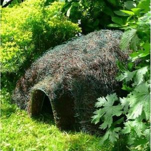 Vanuit de bibliotheek lenen we het boek de Gruffalo en we zullen rondom dit boek diverse activiteiten creëren.