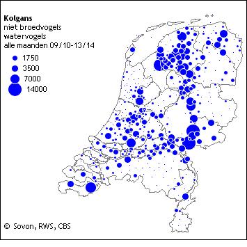 De Staat van Instandhouding van de kolgans als niet-broedvogel in Nederland is beoordeeld als gunstig. https://www.sovon.nl/nl/soort/1590.