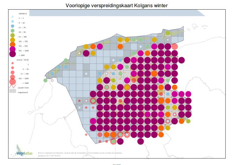 Fryslân Aantalsontwikkelingen winter In Fryslân is bij de kolgans als watervogel sprake van een significante toename vanaf 1980.