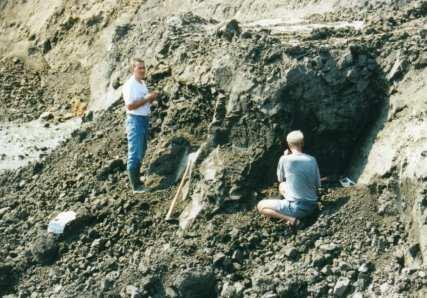 GROSS PAMPAU Schelpenwerkgroep Delfzijl jaarverslag 2002 pagina 14 door R.E.