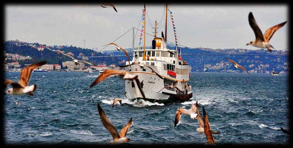 Bij de bootocht op de Bosphorus ziet u de mooie kustlijn met alle historische gebouwen, Osmaanse paleizen en de sjieke houten huizen.