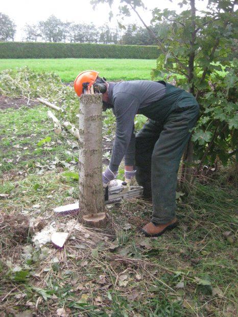 zaag weegt max. 4 à 5 kg). Accukettingzagen worden steeds vaker ingezet bij licht tot matig zwaar snoeiwerk.