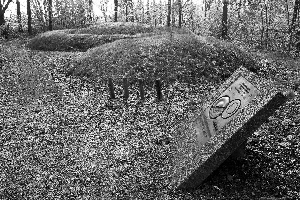 De grafheuvels van Toterfout Op zaterdag 13 oktober vanaf 13.00 uur vindt er in de bossen van Toterfout een grafheuvelfestijn plaats.
