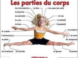 6 Le corps We hebben het in de Franse les gehad over ons lichaam.