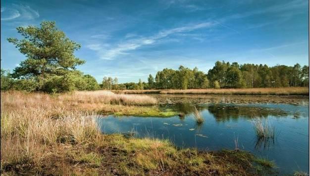 Als middelpunt van de routes hebben wij gekozen voor het centrale deel van natuurgebied de Kampina en de gebieden die hieraan verbonden zijn.