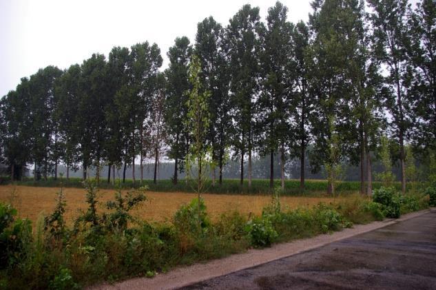 Stroom die voor een groot deel door Oisterwijk loopt.