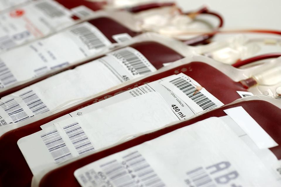 3 Praktische informatie Wat is een bloedtransfusie en waarom wordt het toegediend? Bloed bestaat uit rode en witte bloedcellen, bloedplaatjes en plasma.