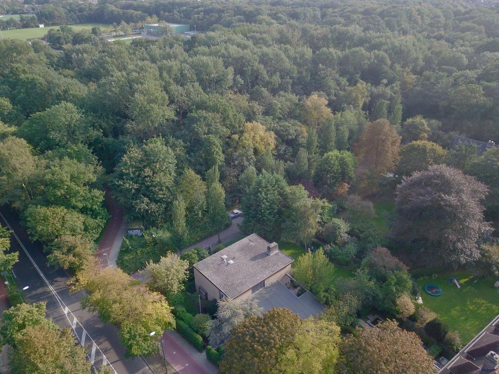 WONEN AAN STADSPARK DE LEIDSE HOUT Ruime, vrijstaande en schitterend gelegen villa, met riante tuin (zuidwesten) grenzend aan stadspark 'De Leidse Hout'.