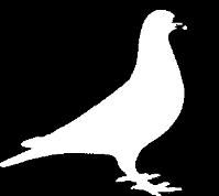 Kaatsheuvelse Postduiven Vereniging Beste sportvrienden, Het beloofde een rustig duivenweekend te worden want op het vliegprogramma stond slechts één vlucht.