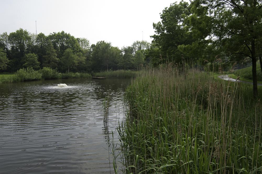 8. Illustraties biotopen Locatie Beatrixpark zuid: water,