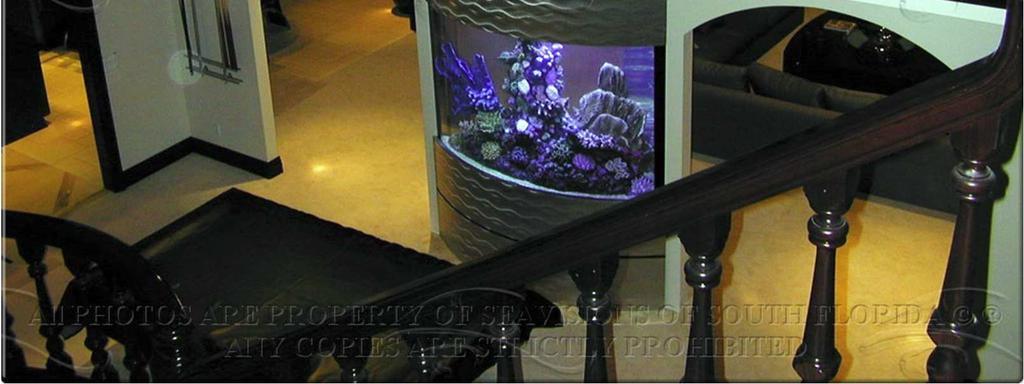 facetten van het aquarium houden beleefd, met als rode draad de echte natuur en hoe verschillende werelddelen over natuur in het aquarium denkt en beleefd.