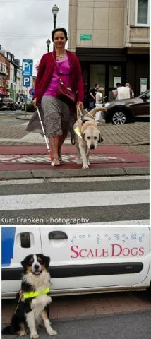 Opleiden van geleidehonden die gratis ter beschikking worden gesteld van visueel gehandicapte personen Gevolgd door Donorinfo sinds: 2009 1170 Watermaal Bosvoorde (Brussel) (+32) 04/30 24 27
