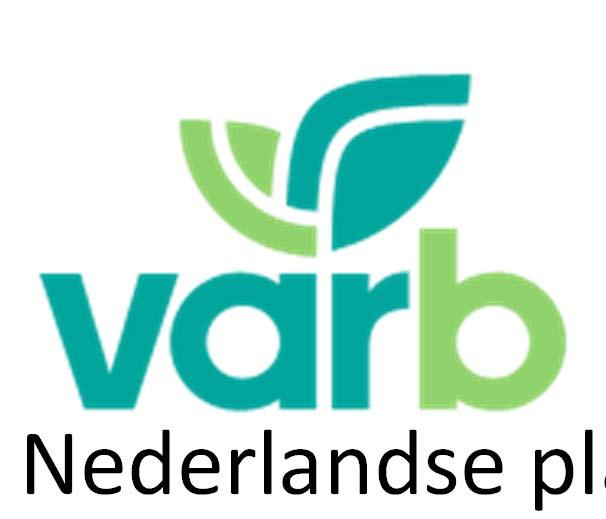 Sinds 25 jaar het Nederlandse platform voor buitengroen 776 kwekers en handelaren 138 447 aangeboden producten Ruim 1000 gebruikers in Nederland en België