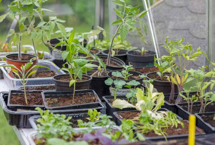 Intro grow De Intro Growcollectie is een budgetvriendelijk instapgamma van tuinkassen gemaakt uit aluminium en beschikbaar in 3 kleuren (aluminium, groen en zwart).