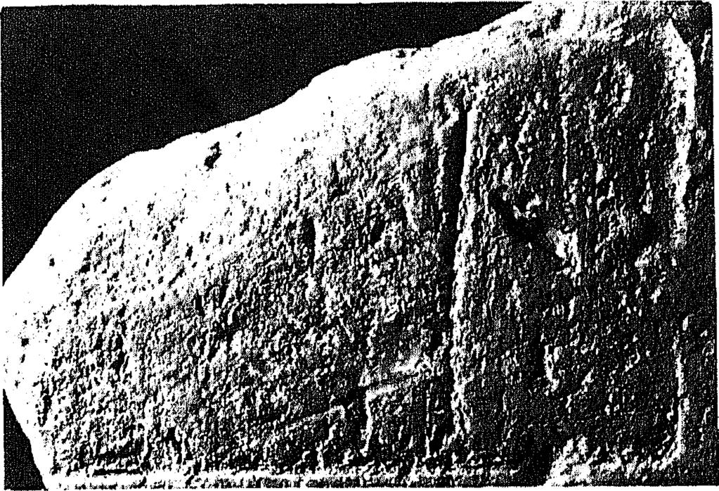 1 2. Bodegraven. Sporen van twee hoogst waarschijnlijk identieke Romeinse stempels op fragmenten van een tegel (1) en een platte dakpan (2).