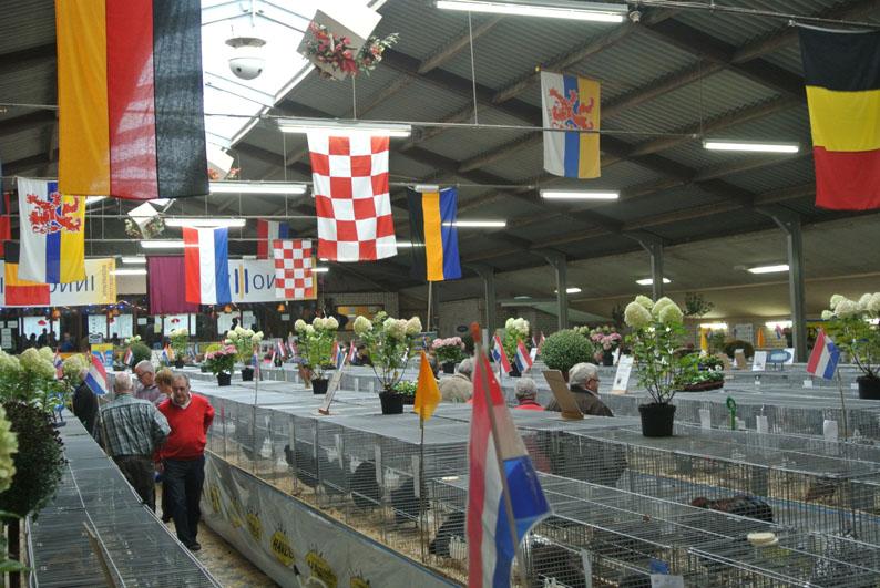 Trotse eigenaars, top dieren en in het oog lopende fokprestaties Deel 1 DE PEELHORSTSHOW Door: Jan