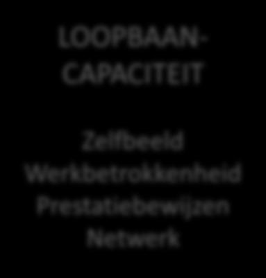 organisatie Integratie met beroepspraktijk LOOPBAAN- CAPACITEIT Zelfbeeld Werkbetrokkenheid Prestatiebewijzen Netwerk Begeleiding