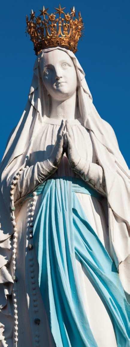 Bedevaart Lourdes voor zorgbehoevenden Onder het toeziend oog van Maria bezoeken elk jaar vanuit VNB, de landelijke katholieke reisorganisatie, duizenden mensen Lourdes in Frankrijk.