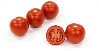 kwaliteit Jointed HTL1505153 Middel tomaat voor losse oogst 100-120 gram HR: