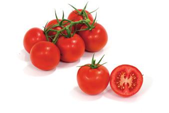 houdbaarheid HTL1606406 F1 Hybride tomaat Middel trostomaat Snoeiadvies 6 vruchten per tros 100-120 gram HR: ToMV:0,1,2 / Ff:A-E /