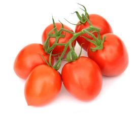 PRUIM MIDDEL PRUNAXX HTL1504425 F1 Hybride tomaat Middel pruim trostomaat 5-6 vruchten per