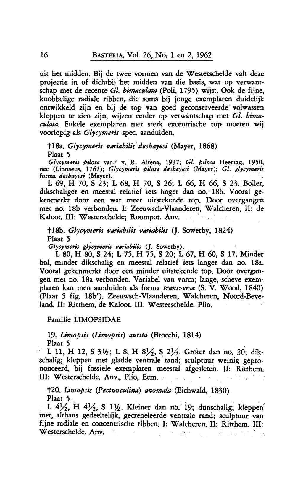 16 Basteria, Vol. 26, No. 1 en 2, 1962 uit het midden. Bij de twee vormen van de Westerschelde valt deze projectie in of dichtbij het midden van die basis, wat op verwantschap met de recente Gl.