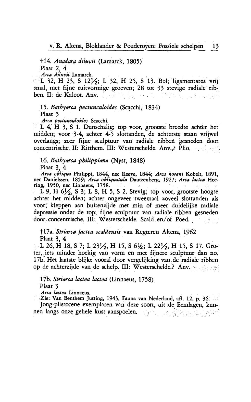 v. R. Altena, Bloklander & Pouderoyen: Fossiele schelpen 13 14. Anadara diluvii (Lamarck, 1805) Plaat 2, 4 Arca diluvii Lamarck.