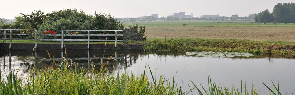 16 Overwegíngen bij bod províncie Duin, Horst en Weide omvat drie karakteristieke landschappen.