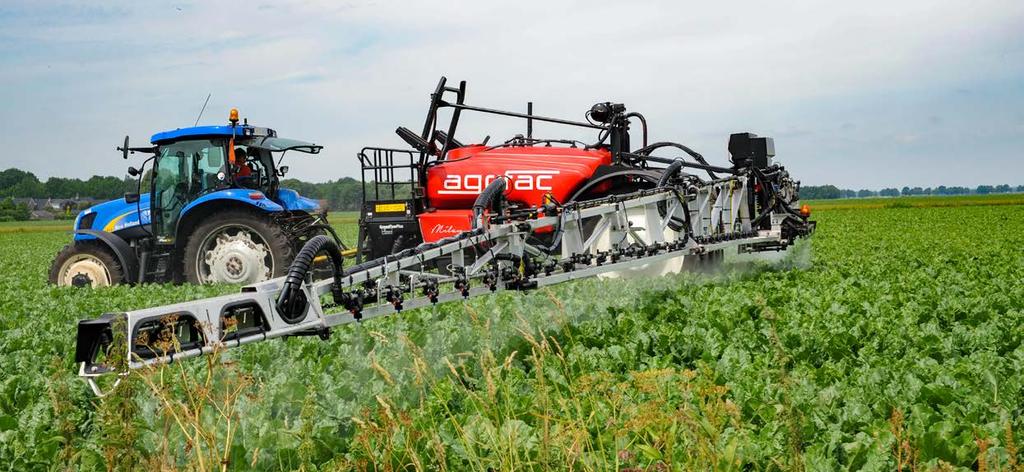 BLADSCHIMMELBESTRIJDING We hebben in 2018 hoofdzakelijk te maken gehad met cercospora, meeldauw en later ook roest.