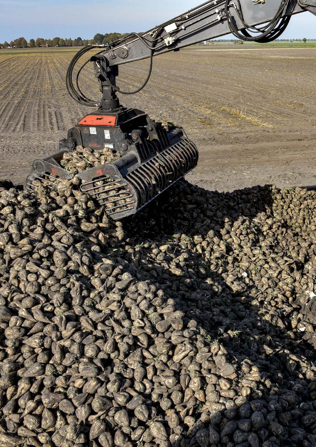 Inhoud Zaai en opkomst 6 Korstvorming 7 Resistentiekeuze met behulp van BAS 8 Bladschimmelbestrijding 10 Groeibevorderaars en plantversterkers 12 Beregening en omgang met extreem weer 13