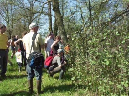 1. Jaarthema Natuur in stad en dorp Uitwerking Bijzonder provinciaal natuurbehoudsproject Structuren van valleien en heuvels doorheen stad en dorp inventariseren Biodiversiteit aan koestersoorten en