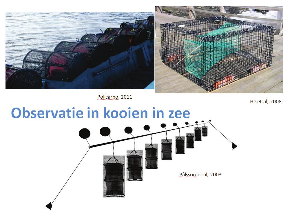 Teruggooi vis wordt na de verwerking van de vangst in kooien overgebracht die dan in zee gezet worden.