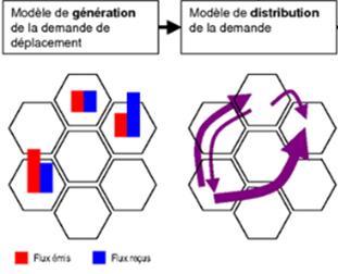Theorie : vier stappen verkeersmodellering Stap 2 : Distributie De tweede stap bepaalt hoeveel mensen zich van plek A naar B