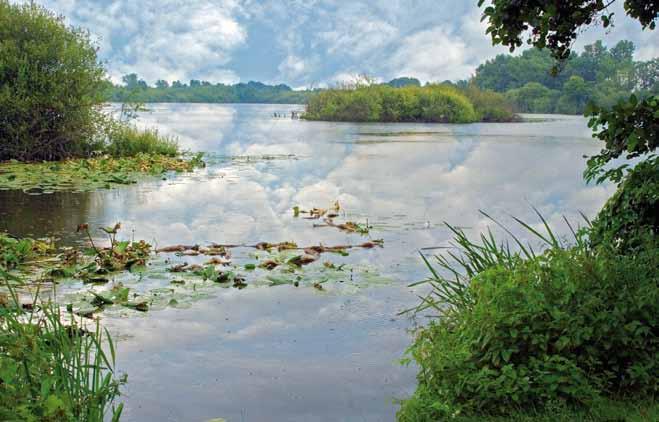 Doel van de inrichtingsmaatregelen was om natuurwaarden te herstellen, waarbij de nadruk lag op de gebieden met de hoogste potentie: het open water en de natte schraallanden, broekbos en hoogveen.