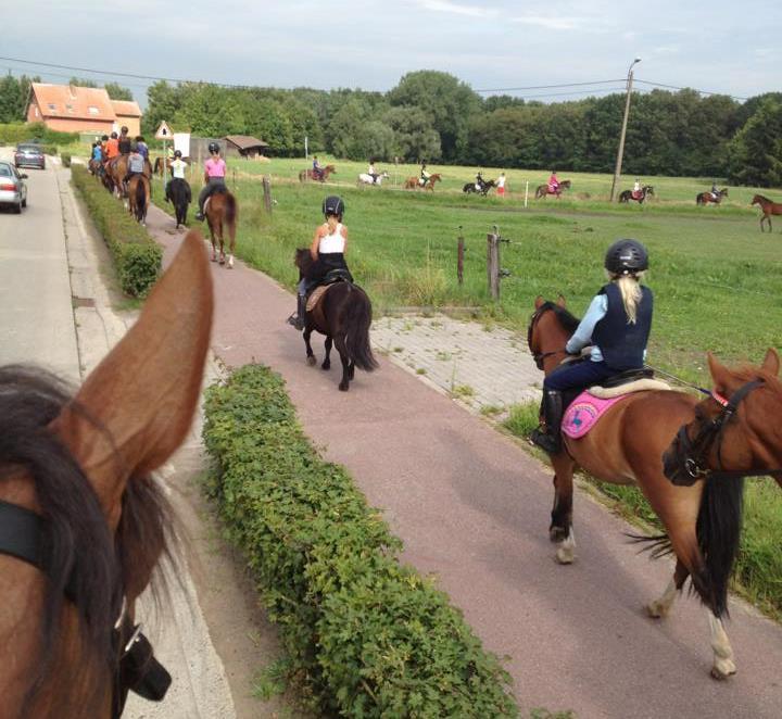 Funkamp van 15/07-19/07 Dit ponykamp is ideaal als eerste kennismaking met het ponyrijden of voor kinderen die al wat ervaring hebben opgedaan.