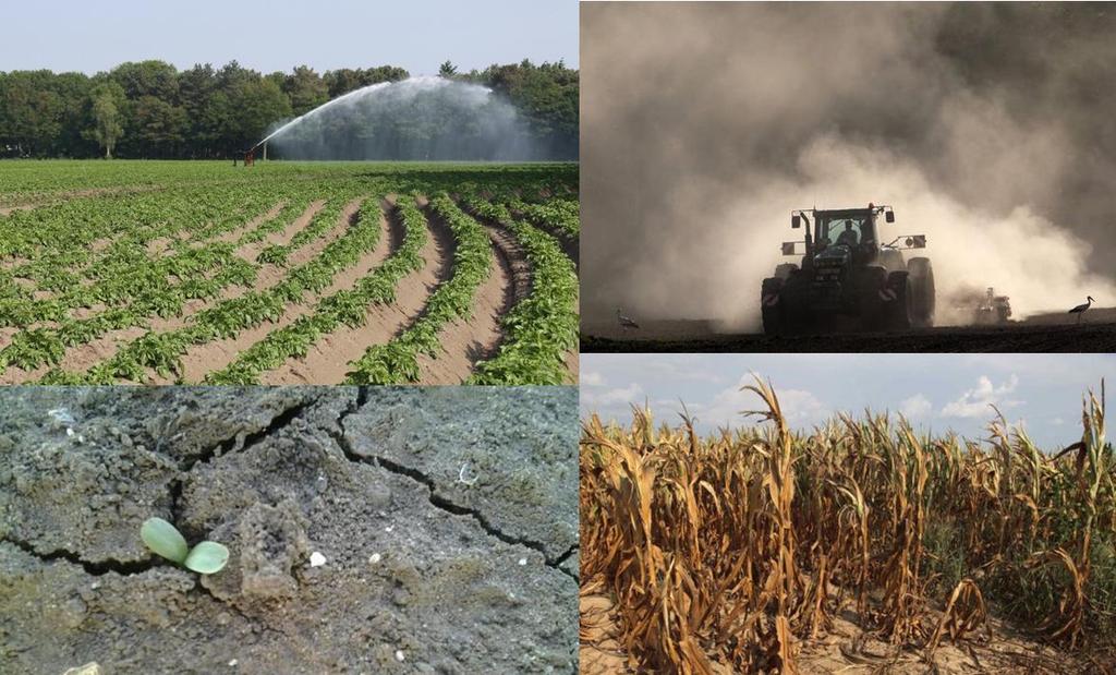 Waterprobleem Omgekeerde fenomeen is ook probleem Droogte kan tot rampen lijden