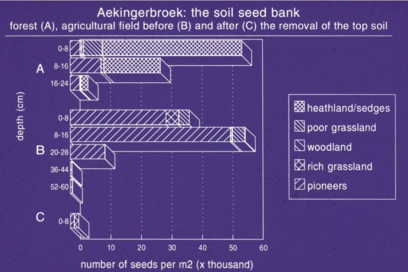 Seedbank