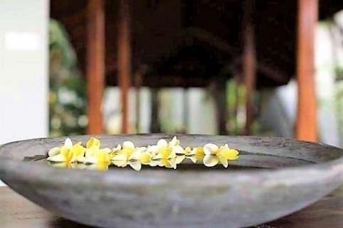 Je geniet van dichtbij van het leven in de Mekong-delta. Aansluitend reis je door naar je hotel in Can Tho. De stad heeft een gezellige kade en goede restaurants langs de rivier.