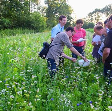 De Gelderse collectieven VALA en Veluwe werken met nog drie anderen aan het inbedden van 7% vergroening in bedrijven in kleinschalige cultuurlandschappen.