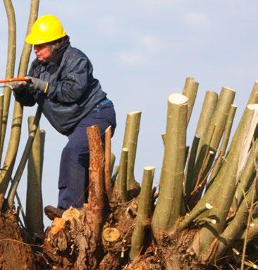 Verdienmodellen, ontwikkelingsruimte en instrumenten Trekker LTO Noord Partners Onder meer Agrarische NatuurCollectieven, Vruchtbare Kringloop Achterhoek, de Gelderse Natuur en Milieufederatie,