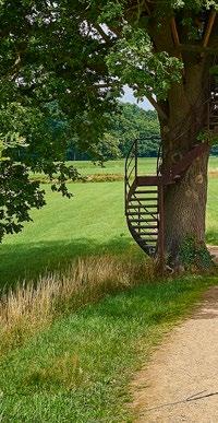 Mijn bedrijf, onze natuur Trekker Agrarische NatuurCollectieven Partners Onder meer LTO Noord, Stichting Landschapsbeheer Gelderland, terreinbeherende organisaties (tbo s), koplopers, de Marke en