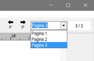Opmerking: wanneer deze optie uitstaat en er wordt een bestand met pagina's geopend dan wordt deze pagina optie automatisch geactiveerd.