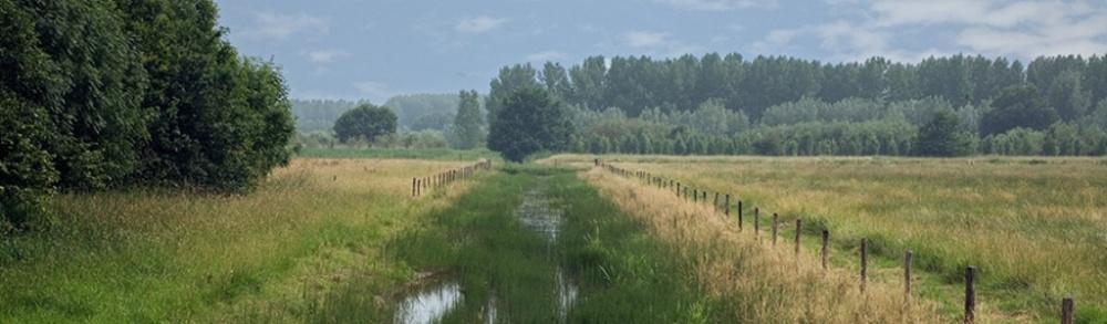 Figuur 4: Het Pompveld in het natuurgebied Heusden en Altena Beekdallandschap Zwarte Beek Het beekdallandschap Zwarte Beek wordt gerekend tot een van de meest waardevolle beekvalleien in Vlaanderen
