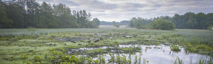 Het strekt zich uit vanaf de flank van het Kempens Plateau te Hechtel (op de waterscheiding van het Maasbekken), tot in Diest waar de Zwarte Beek samenvloeit met de Demer (die behoort tot het