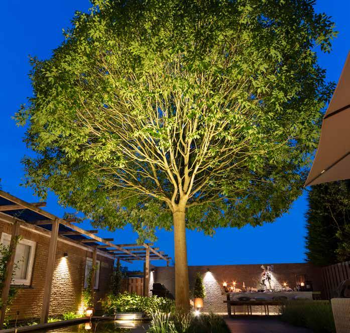 THE BOOK OF IN-LITE BIG SCOPE BIG SCOPE gebruik je voor het verlichten van bomen tot zo n 6 m hoog met een brede kruin.
