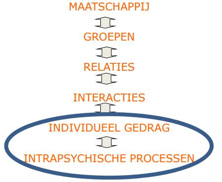 DEEL 2 Introductie in het systeemtheoretisch kader Uitgangspunten: 1) Sociale complexiteit Implicaties: - individueel gedrag, denken, voelen,