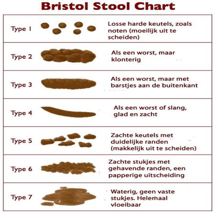 (Bristol Stool Chart: Dr.